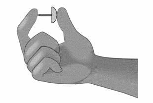 10 5 02 - José aperta uma tachinha entre os dedos, como mostrado nesta figura: A cabeça da tachinha está apoiada no polegar e a ponta, no indicador.