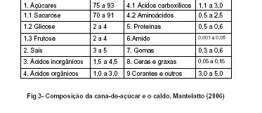 Características tecnológica e químicas da cana-de-açúcar Caldo 84-91% Celulose Pentosanas (xilana, arabana, etc.