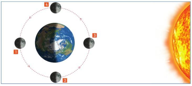 4. Considera a Lua nas quatro posições assinaladas no esquema.