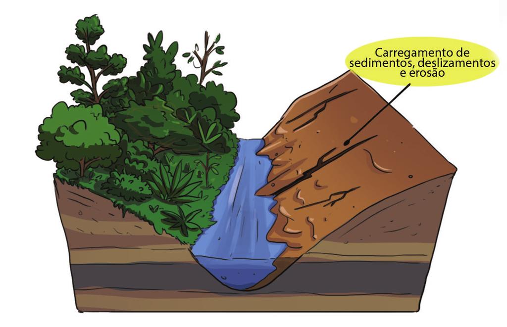 Importância da mata ciliar Ajuda na infiltração e armazenamento da água da chuva no lençol freático; É fonte de nutrientes para a vida aquática; Ajuda a filtrar e reter agroquímicos; Ajuda a evitar o