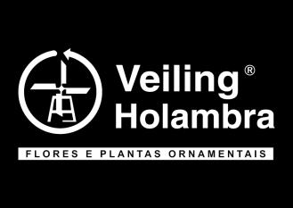 ASPARGO DE VASO Classificar é separar os produtos em lotes homogêneos quanto ao padrão e qualidade, caracterizados separadamente.