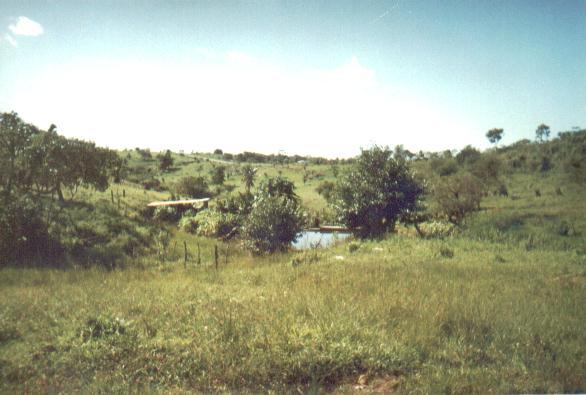 Foto 1 - Nascente do riacho Jacaré, município de Muribeca totalmente desprotegida sendo utilizada para fins de abastecimento humano, agricultura e lazer. Fonte: Denize dos Santos(05/2003).