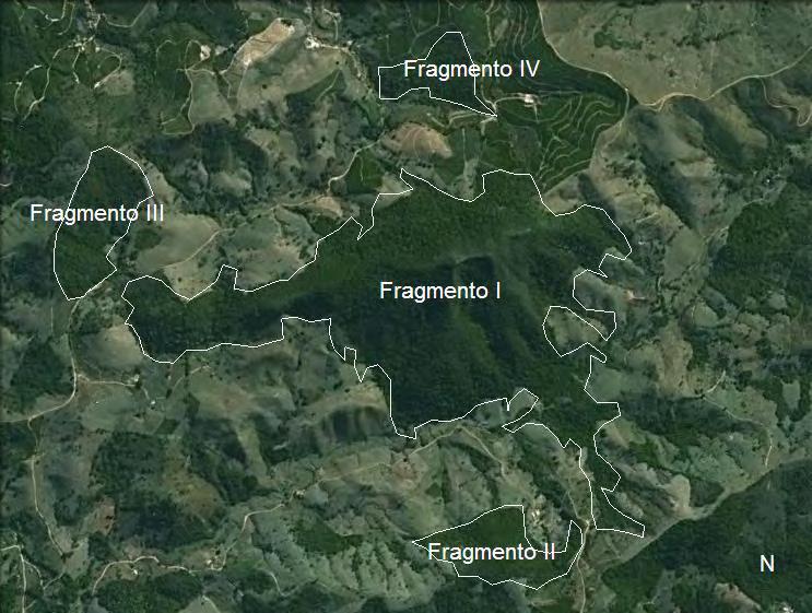 22 Figura 3. Localização dos fragmentos amostrados, no município de Jacutinga, MG. Fonte: Google Earth mapping service/nasa/terrametrics 2007 copyright.