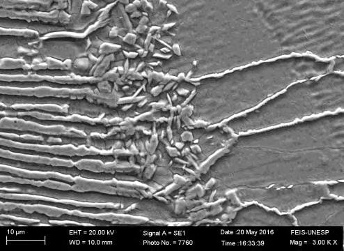 (a) (b) Figura 6: Macrografias da junta soldada. MEV. Zona de ligação metal base/metal de solda (a). Metal de solda (b). Figura 7: Gráfico de microdureza na junta soldada. LM90. Metal de solda (MS).