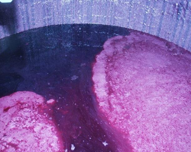 Trasfegas Após a fermentação alcoólica, os vinhos novos contêm: - partículas diversas provenientes dos mostos ou de partes sólidas da uva; - leveduras; - fosfato férrico, cobre; -