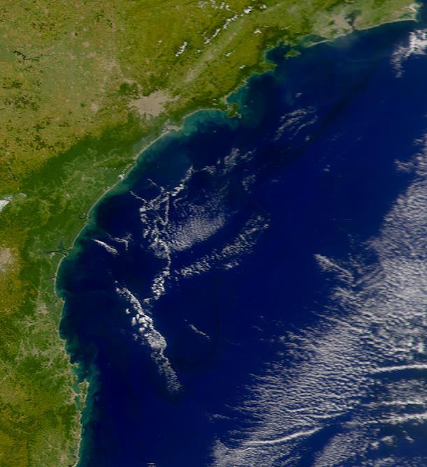 of the coastal plains and estuaries Great embayment (24º - 27º S) Large coastal plain up to 50 km