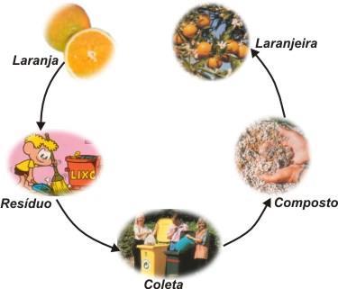 Agricultura orgânica é o sistema de produção que exclui