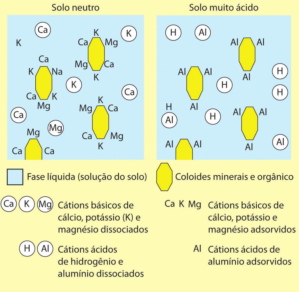 Se nos coloides do solo predominam os cátions básicos, ele terá uma reação próxima à neutra.