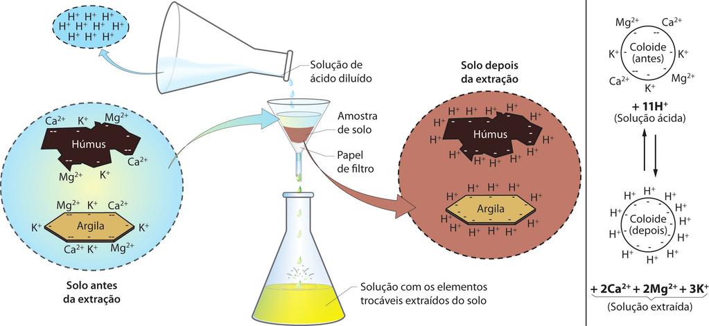 Método comumente usado para efetuar a análise de uma amostra de solo: a solução de ácido (ou sal) diluído ao passar pelos seus coloides (argilas e húmus) extrai os cátions nutrientes (Ca2+ +