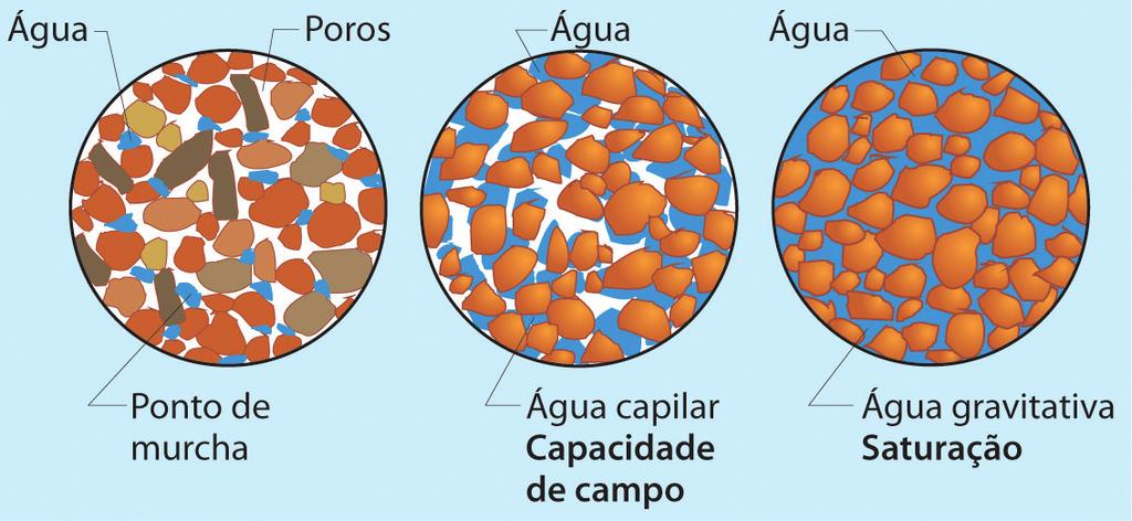 A água do solo, no ponto de murchamanto, forma uma película fina que envolve as partículas do solo.