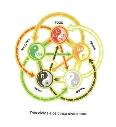 17 Figura 3: Três ciclos e os Cinco Movimentos. Fonte: Enomoto (2015, p.