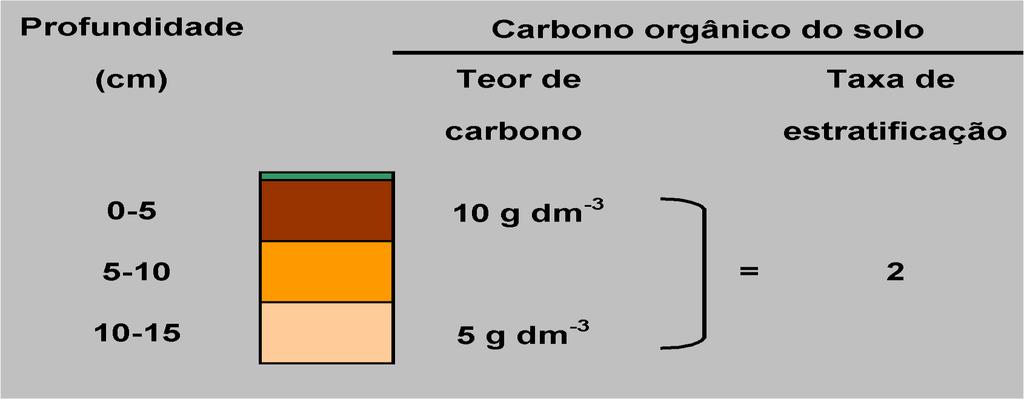 Taxa de estratificação de carbono orgânico do