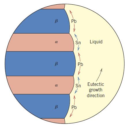 fases ( + ) a partir do líquido formando um