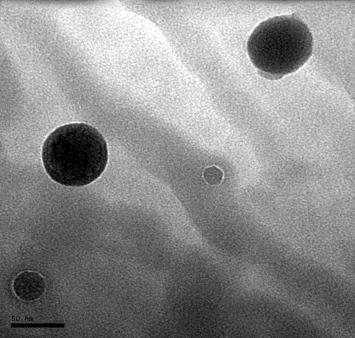 28 e 29 mostram a presença da nanocarga em todas as
