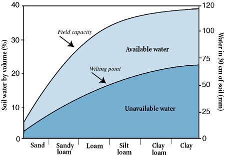 Efeito da textura sobre a CC, PMP e AD Capacidade de campo Água disponível Ponto de murcha