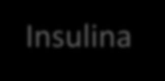 + Folículos 0 Insulina IGF-I recrutados 40