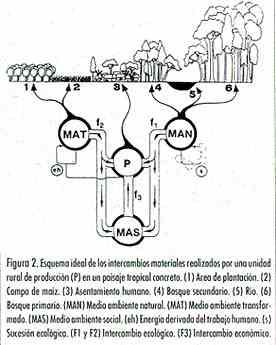 % EMergia Pecuária Familiar Renováveis Não Renováveis Materiais Serviços TOLEDO, V.M. 1993 La racionalidad de la Producción Campesina.