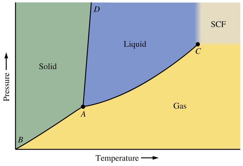 DIAGRAMA DE FASES UNÁRIO Em um diagrama unário: Linhas ou curvas