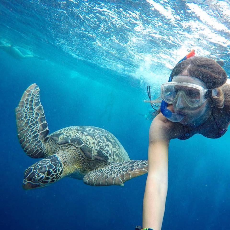 Destinos Koh Tao/ Tailândia Koh Tao é uma pequena e charmosa ilha,