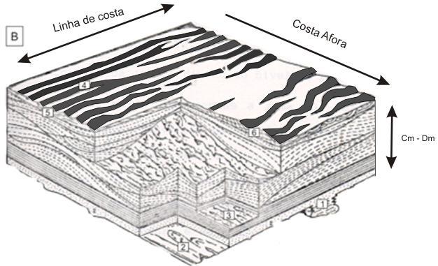 8 Modelo esquemático de fácies de arenitos
