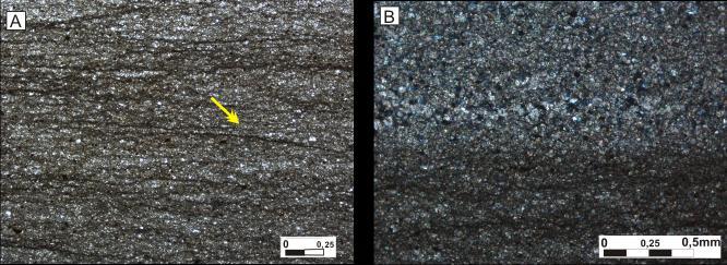 MG Figura 4.22 A) Fotomicrografia da fácie Dl, a seta amrela indica as laminações sub-milimétricas de material argiloso (Aumento 4X/N//).