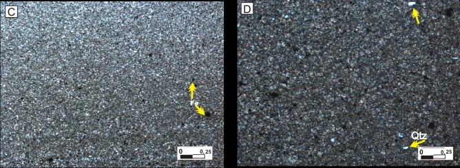 D) Localmente são observados grãos de quartzo dispersos entre os cristais de dolomita (Aumento 4X/NX).