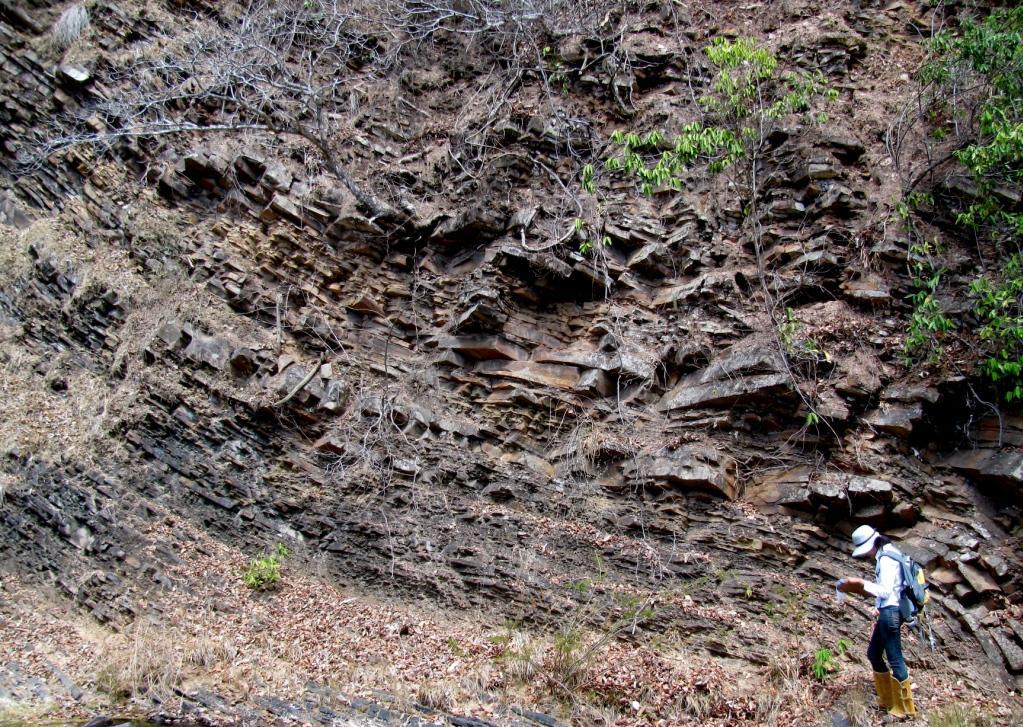MG apresentam ao topo estromatólitos encerrando com a deposição de rochas siliciclásticas com feições de atividade de tempestade.