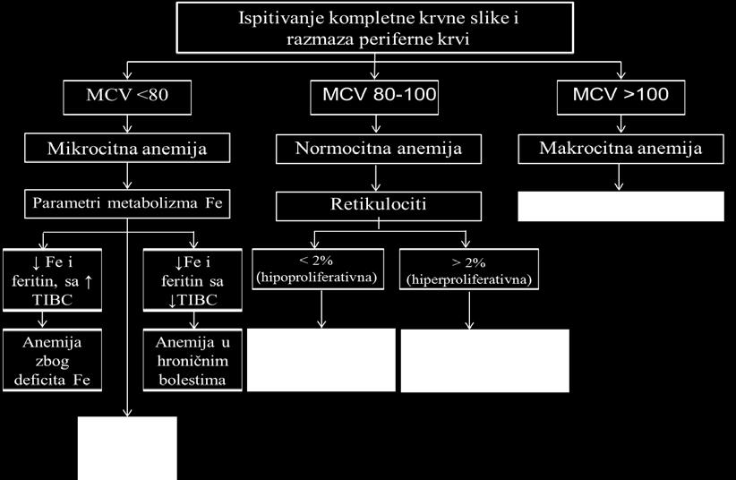 blood cells, WBC), broj trombocita (platelets, PLT) i eritrocitne indekse: srednja zapremina eritrocita (mean corpuscular volume MCV), srednji sadržaj hemoglobina u eritrocitu (mean corpuscular