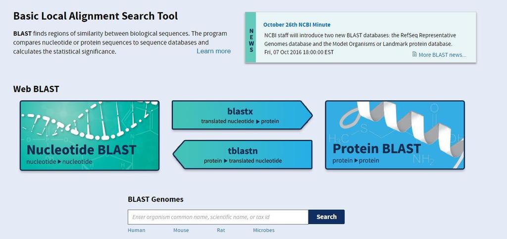 https://blast.ncbi.