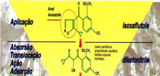 Biota (plantas/micro) V0 V2 V4 V6 V8 V10 V12 V14 V16 K d K oc Solo/Sedimentos Transformação de isoxaflutole (IFT) em Diketonitrilo (DKN) Transformação do IFT em DKN, ácido benzóico e