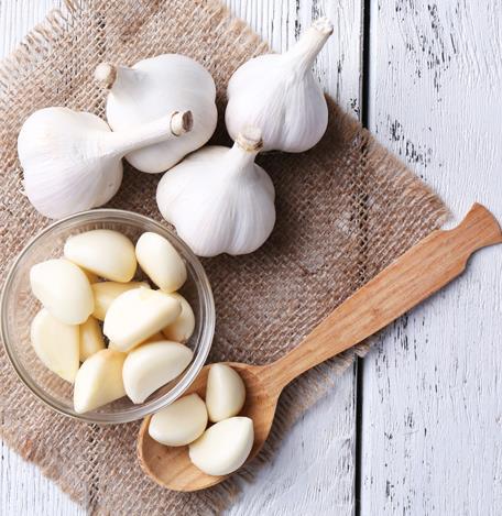 Nossa História Após um ano de estudo e desenvolvimento, em 2006 a Garlic Foods iniciou suas atividades, voltadas somente à linha de produção Alho In Natura.