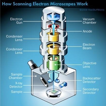SEM microscopia por varredura de elétron * Giroscópio