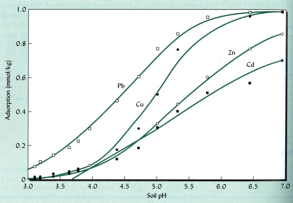 Adsorção (mmol kg -1 ) Efeito do ph do solo na