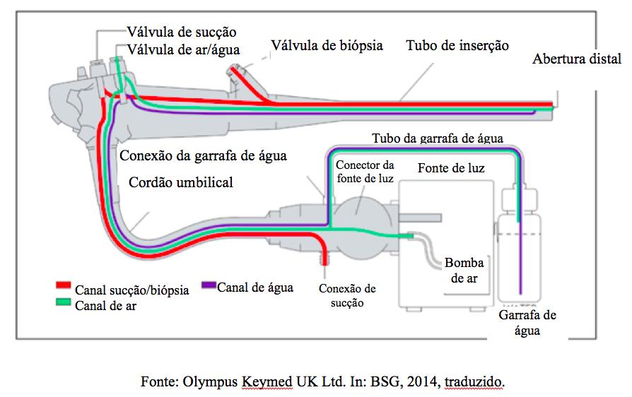 Estrutura básica de um