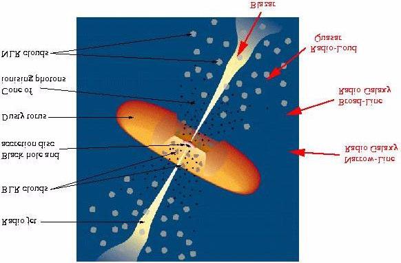 Modelo Padrão Jato rádio Nuvens BLR Broad Line Regions Buraco Negro e disco de acreção Toróide de poeira Cone de fótons ionizantes