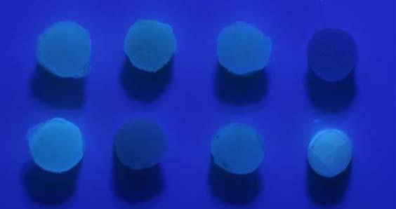 60 Estelite Esthet Amaris Admira Venus Z350 GrandioSO Dente Figura 5 Resinas compostas utilizadas no experimento fotografadas sob luz ultravioleta.