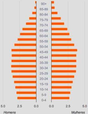 brasileira (IBGE) e Variação