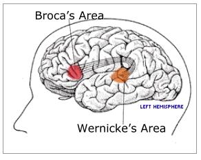 Alterações (terminologias): : disfasia (dificuldade de compreensão ou expressão da linguagem); disartria (dificuldade de articular ou formar