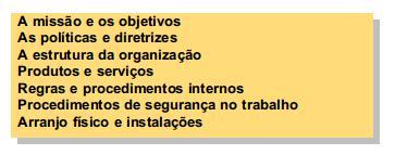 Planejamento do processo seletivo Papel do gerente Grupos de trabalho Programas de integração A missão e os objetivos As políticas e