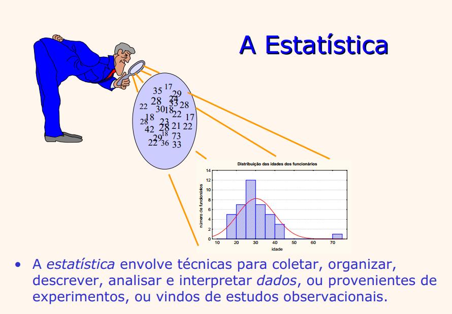 Conceitos Fundamentais Prof.