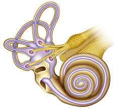 Ouvido Artificial O ouvido artificial é composto de dois sistemas principais: um externo e um interno.