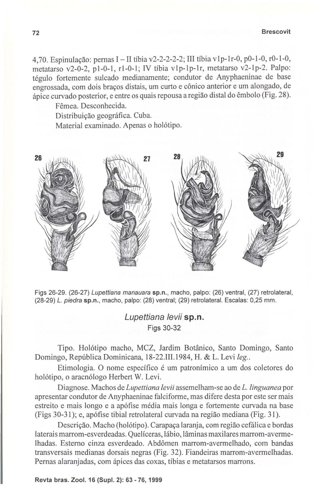 72 Brescovit 4,70. Espinulação: pernas I -li tíbia v2-2-2-2-2; III tíbia vlp-ir-o, po-i-o, ro-l-0, metatarso v2-0-2, p 1-0-1, r1-0-1; IV tíbia v I p-i p-i r, metatarso v2-1 p-2.