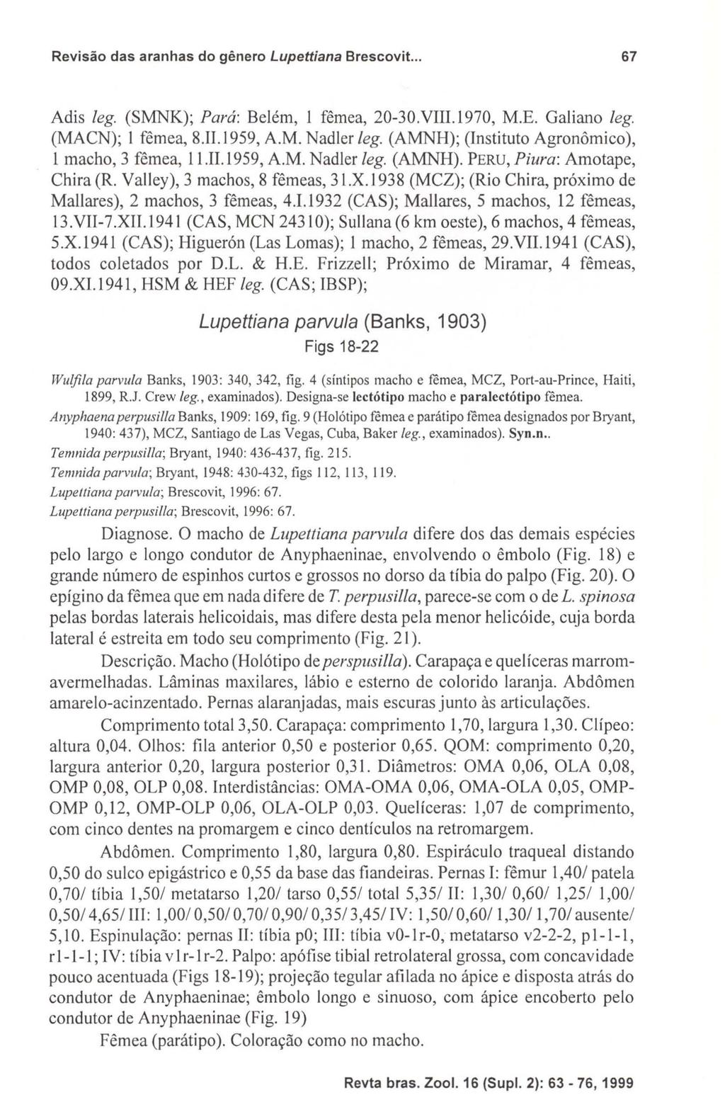 Revisão das aranhas do gênero Lupettiana Brescovit... 67 Adis leg. (SMNK); Pará: Belém, I fêmea, 20-30.VIII.1970, M.E. Galiano leg. (MACN); I fêmea, 8.11.1959, A.M. Nadler lego (AMNH); (Instituto Agronômico), I macho, 3 fêmea, 11.