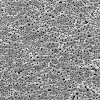 Uma evolução patenteada da superfície TiUnite, caracterizada por micro rugosidade significamente menor, a Superfície Ospol é oxidada, incorpora Íons de Cálcio (Ca +2 ) e apresenta resultados