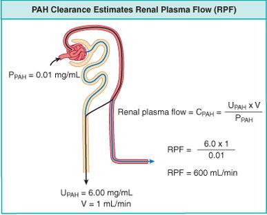 Determinação do Fluxo Plasmático Renal
