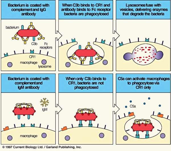 Fig. 8.44.