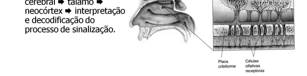 influência direta e distribuída sobre partes do