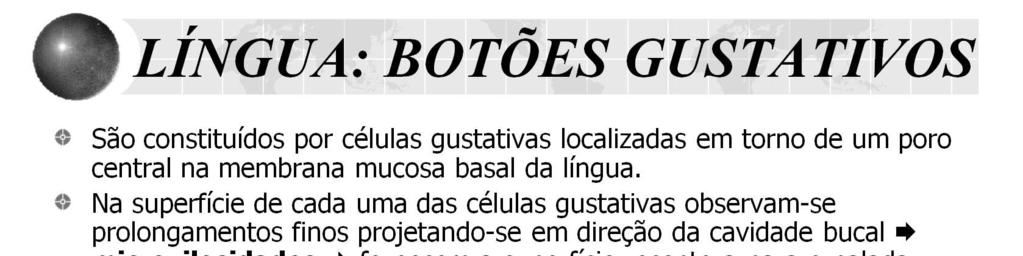 Espalhados sobre a superfície da língua estão pequenas projeções denominadas papilas, as quais são classificadas quanto à sua