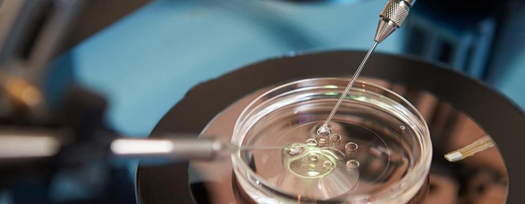 Produção in vitro de embriões (PIVE) - Congelamento de sêmen -