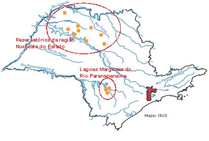 15 Figura 4. Mapa Hidrográfico do estado de São Paulo. Localização dos 9 reservatórios e 3 lagoas marginais selecionados para o estudo. Figura 5.